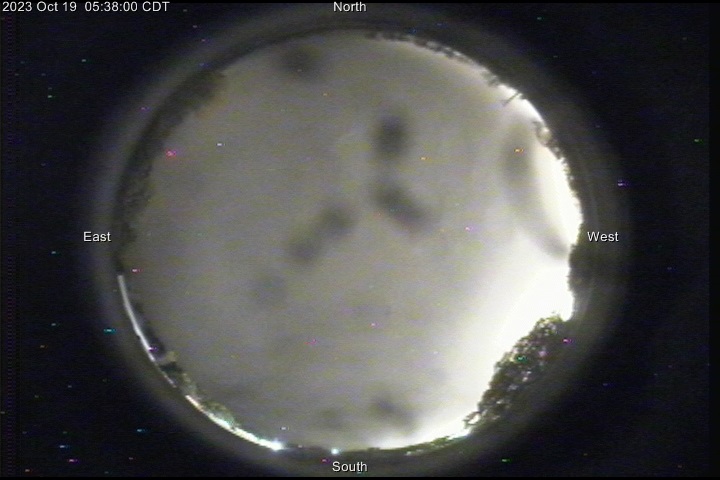 Live View