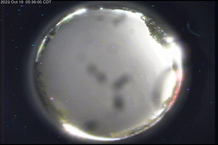 Live View
